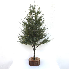 Load image into Gallery viewer, Conifer on Log Base with LED Lights
