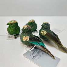 Load image into Gallery viewer, Green Glitter Bird Clip Set