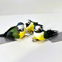 Load image into Gallery viewer, Blue Tit Bird Clip Set