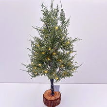 Load image into Gallery viewer, Conifer on Log Base with LED Lights