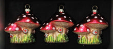 Load image into Gallery viewer, Toadstool House Decoration Set