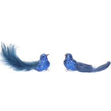 Load image into Gallery viewer, Blue Glitter Feather Birds
