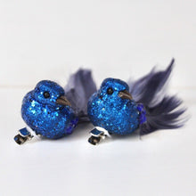 Load image into Gallery viewer, Blue Glitter Feather Birds
