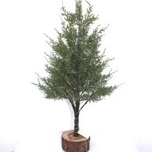 Load image into Gallery viewer, Conifer on Log Base with LED Lights
