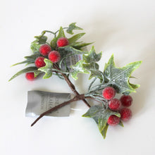 Load image into Gallery viewer, Frosted Ivy &amp; Red Berry Picks
