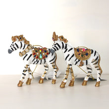 Load image into Gallery viewer, Jewel Zebra Set
