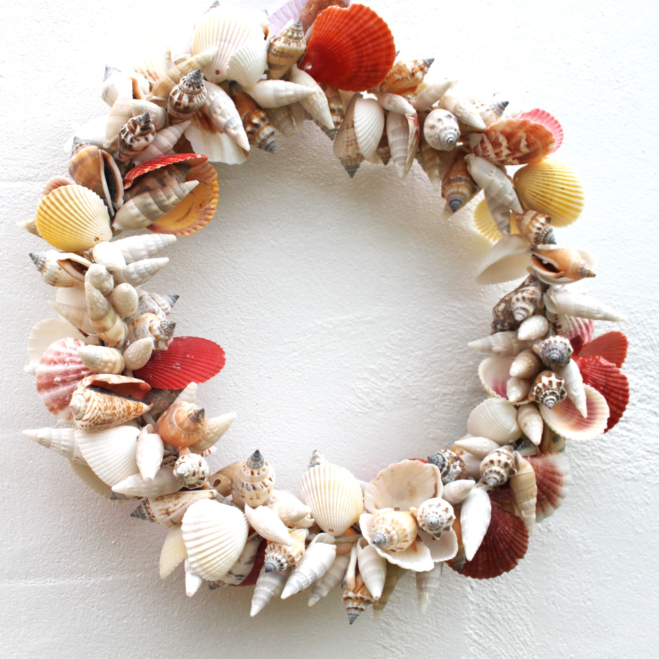Mixed Shell Large Wreath – Judefish