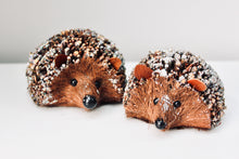 Load image into Gallery viewer, Snowy Bristle Hedgehog Set
