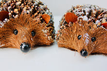 Load image into Gallery viewer, Snowy Bristle Hedgehog Set
