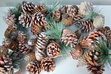Load image into Gallery viewer, Silver Glitter Cone Fir Christmas Garland
