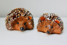 Load image into Gallery viewer, Snowy Bristle Hedgehog Set

