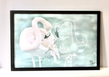 Load image into Gallery viewer, Flamingo Framed Print
