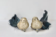Load image into Gallery viewer, Blue &amp; Green Glitter Feather Clip on Birds
