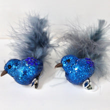 Load image into Gallery viewer, Blue Glitter Feather Clip on Birds
