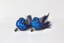 Load image into Gallery viewer, Blue Glitter Feather Clip on Birds
