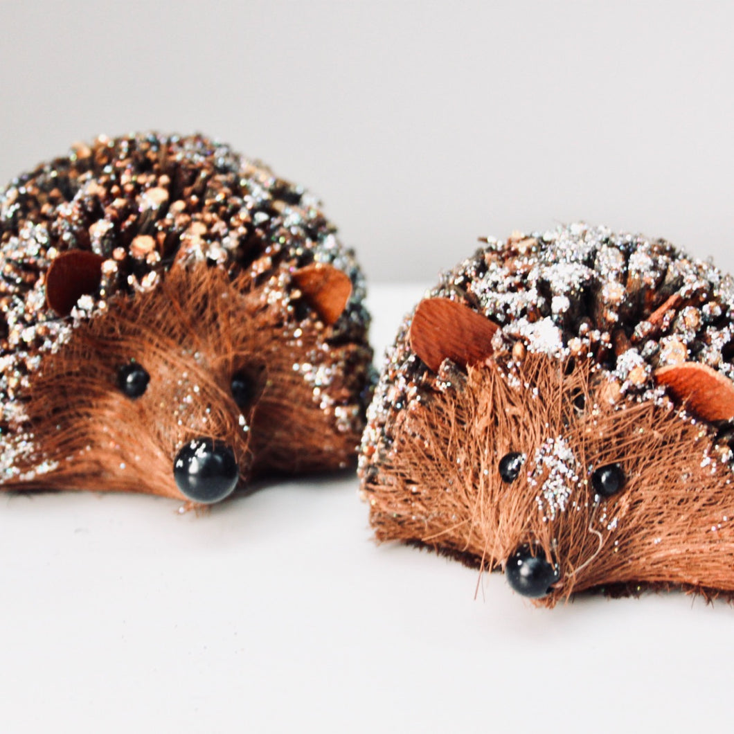 Snowy Bristle Hedgehog Set