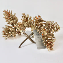 Load image into Gallery viewer, Gold Glitter Cone Pick Bunch
